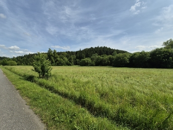 Prodej pozemku 12284 m², Linhartice