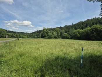 Prodej pozemku 12284 m², Linhartice