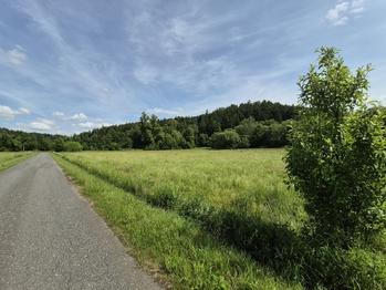 Prodej pozemku 12284 m², Linhartice