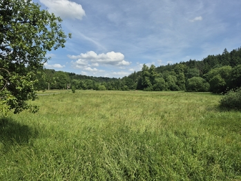 Prodej pozemku 12284 m², Linhartice