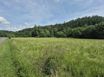 Prodej pozemku 12284 m², Linhartice