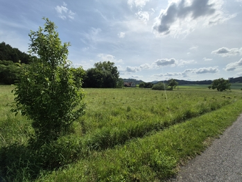 Prodej pozemku 12284 m², Linhartice