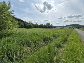 Prodej pozemku 12284 m², Linhartice