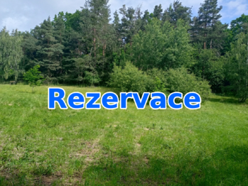 Prodej pozemku 7666 m², Křemže