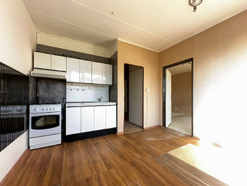 Prodej bytu 1+1 v osobním vlastnictví 39 m², Plzeň