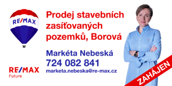 Prodej pozemku 1045 m², Borová