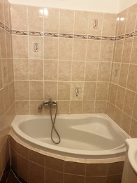 Pronájem bytu 1+1 v družstevním vlastnictví 48 m², Praha 4 - Michle