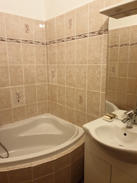 Pronájem bytu 1+1 v družstevním vlastnictví 48 m², Praha 4 - Michle