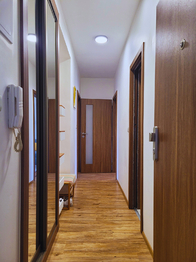 Prodej bytu 2+kk v osobním vlastnictví 57 m², Brno