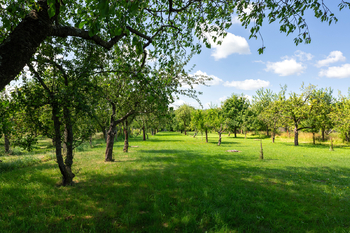 Prodej domu 150 m², Podomí