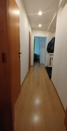 Vstup k obývacímu pokoji - Prodej bytu 2+kk v osobním vlastnictví 58 m², Jeseník