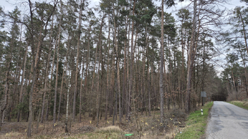 Prodej pozemku 8183 m², Boršov nad Vltavou