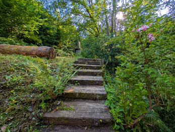 Prodej chaty / chalupy 34 m², Nižbor