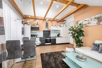 obývací pokoj s kuchyní - Prodej bytu 3+kk v osobním vlastnictví 66 m², Včelná