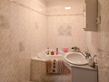 Koupelna 1.NP - Prodej domu 278 m², Prostějovičky