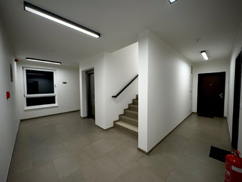 Prodej bytu 1+kk v osobním vlastnictví 35 m², Praha 4 - Nusle