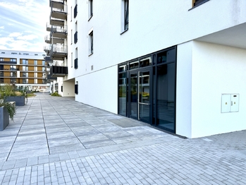 Pronájem obchodních prostor 50 m², České Budějovice