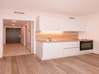 Pronájem bytu 1+kk v osobním vlastnictví 39 m², Praha 9 - Libeň