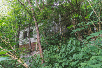 Prodej chaty / chalupy 130 m², Zdiby