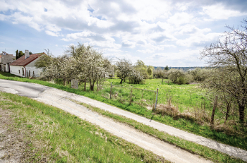 Prodej pozemku 9720 m², Ševětín