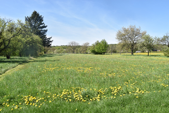 Prodej pozemku 1938 m², Podomí