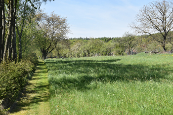Prodej pozemku 1938 m², Podomí
