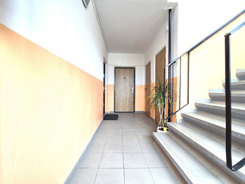 Pronájem bytu 1+kk v osobním vlastnictví 422 m², Louny