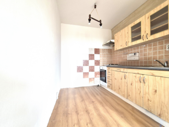 Pronájem bytu 1+kk v osobním vlastnictví 422 m², Louny