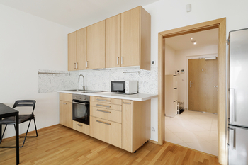 Prodej bytu 1+kk v osobním vlastnictví 40 m², Praha 3 - Žižkov