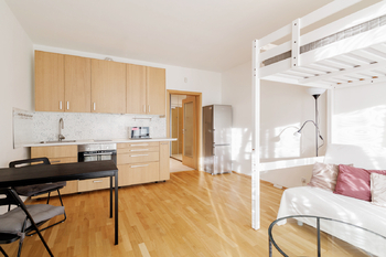 Prodej bytu 1+kk v osobním vlastnictví 40 m², Praha 3 - Žižkov