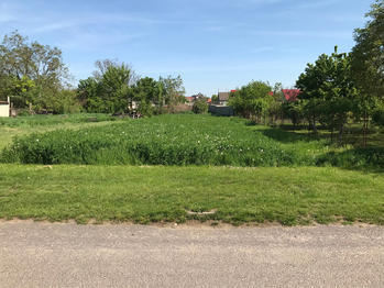 Prodej pozemku 562 m², Hrabětice