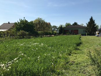 Prodej pozemku 562 m², Hrabětice