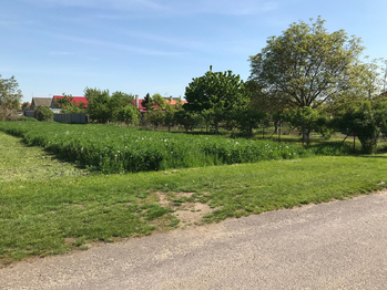 Prodej pozemku 562 m², Hrabětice