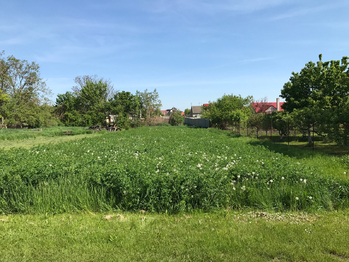 Prodej pozemku 562 m², Hrabětice