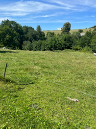 Prodej pozemku 2558 m², Zvotoky
