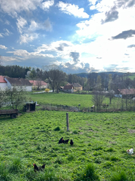Prodej pozemku 2558 m², Zvotoky