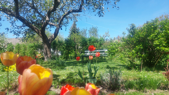 Zahrada je oplocená - Prodej domu 132 m², Mostkovice