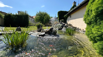 Prodej domu 272 m², Uničov