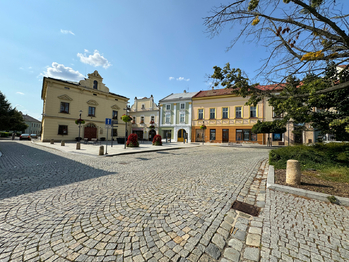 Prodej domu 272 m², Uničov