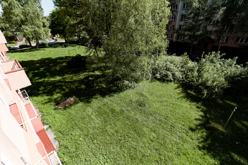 +420 739 604 767 I www.vaclavadamcik.cz I vaclav.adamcik@re-max.cz - Prodej bytu 3+1 v družstevním vlastnictví 81 m², Orlová