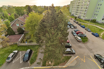 +420 739 604 767 I www.vaclavadamcik.cz I vaclav.adamcik@re-max.cz - Pronájem bytu 3+1 v osobním vlastnictví 64 m², Ostrava