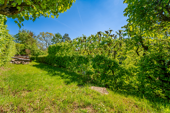 Prodej chaty / chalupy 70 m², Březina
