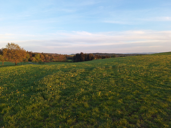 Prodej pozemku 50064 m², Nové Mitrovice