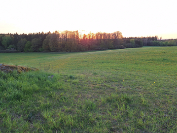 Prodej pozemku 50064 m², Nové Mitrovice