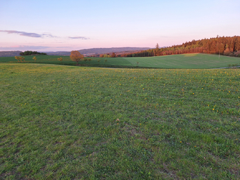 Prodej pozemku 50064 m², Nové Mitrovice