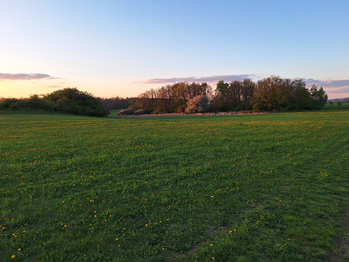 Prodej pozemku 50064 m², Nové Mitrovice