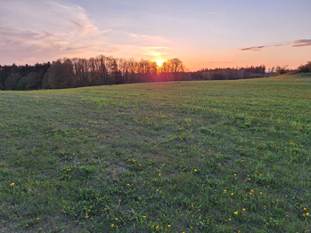 Prodej pozemku 50064 m², Nové Mitrovice