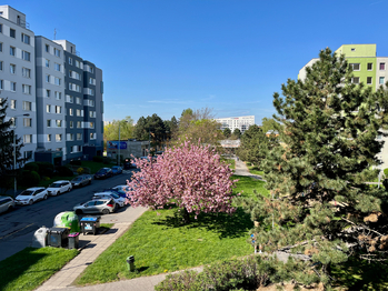 Pronájem bytu 3+1 v osobním vlastnictví 64 m², Praha 4 - Chodov