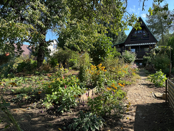 Prodej pozemku 345 m², Tachov