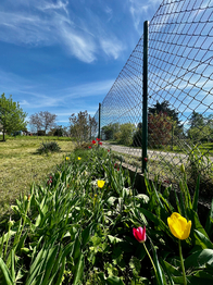 Prodej pozemku 573 m², Hradec Králové